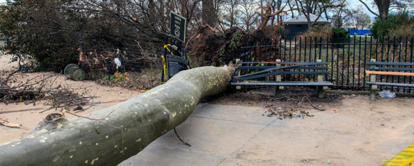 Hurricane sandy and its impact on US mortgage Industry