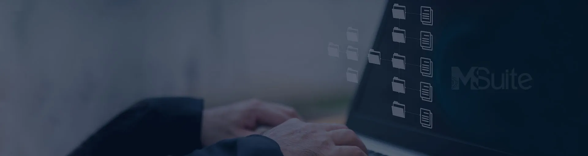 msuite automation workflow